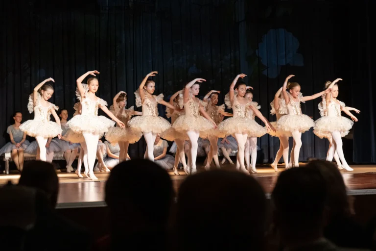 Aufführung Dornröschen Februar 2025 Wernigeröder Ballettkinder e.V.