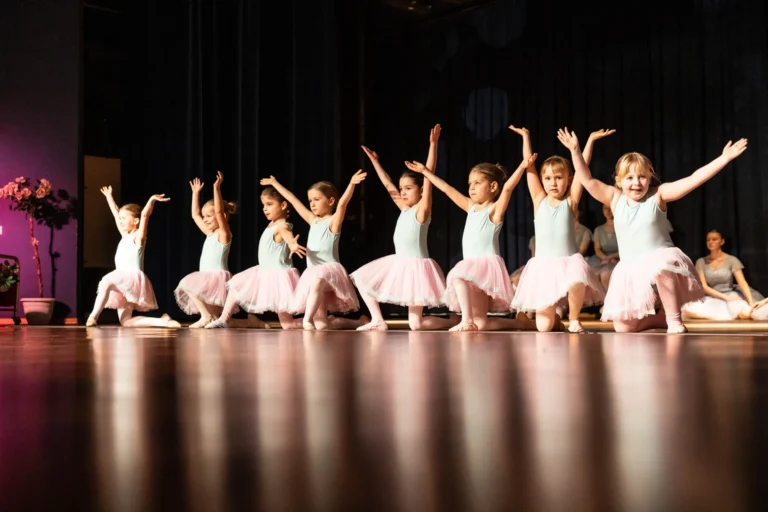 Aufführung Dornröschen Februar 2025 Wernigeröder Ballettkinder e.V.