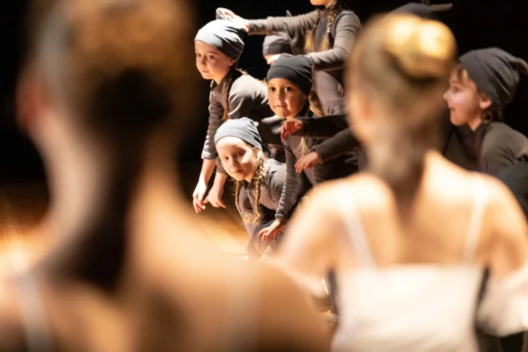 Aufführung Dornröschen Februar 2025 Wernigeröder Ballettkinder e.V.
