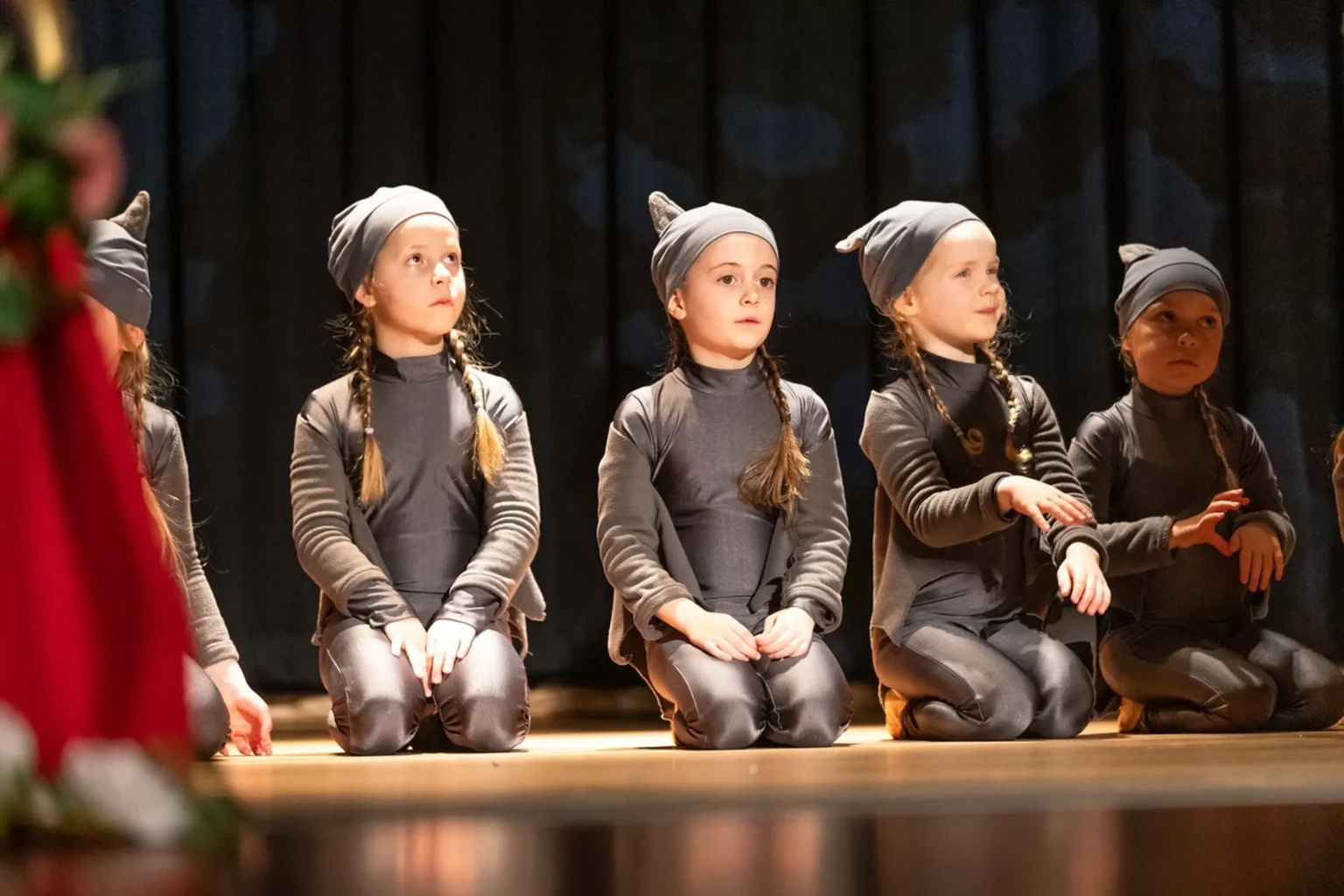 Aufführung Dornröschen Februar 2025 Wernigeröder Ballettkinder e.V.