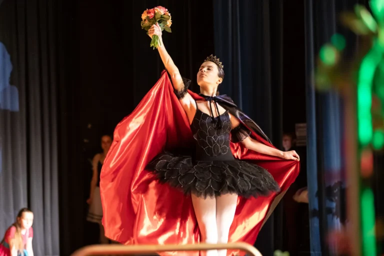 Aufführung Dornröschen Februar 2025 Wernigeröder Ballettkinder e.V.