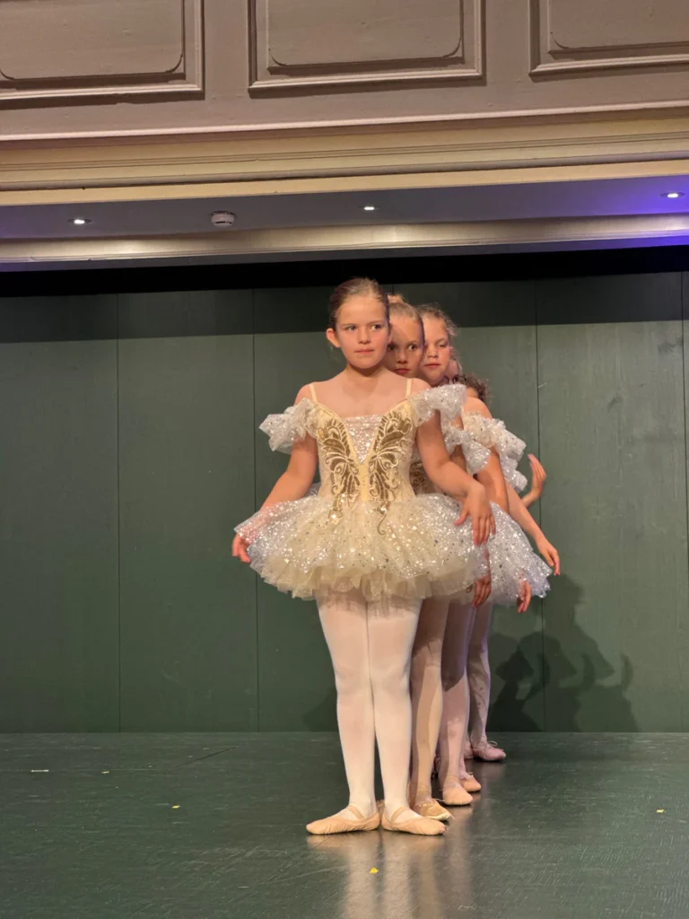 Wernigeröder Balletttage 2026 Konzerthaus Liebfrauen