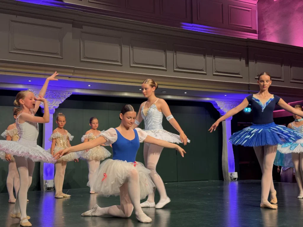 Wernigeröder Balletttage 2026 Konzerthaus Liebfrauen
