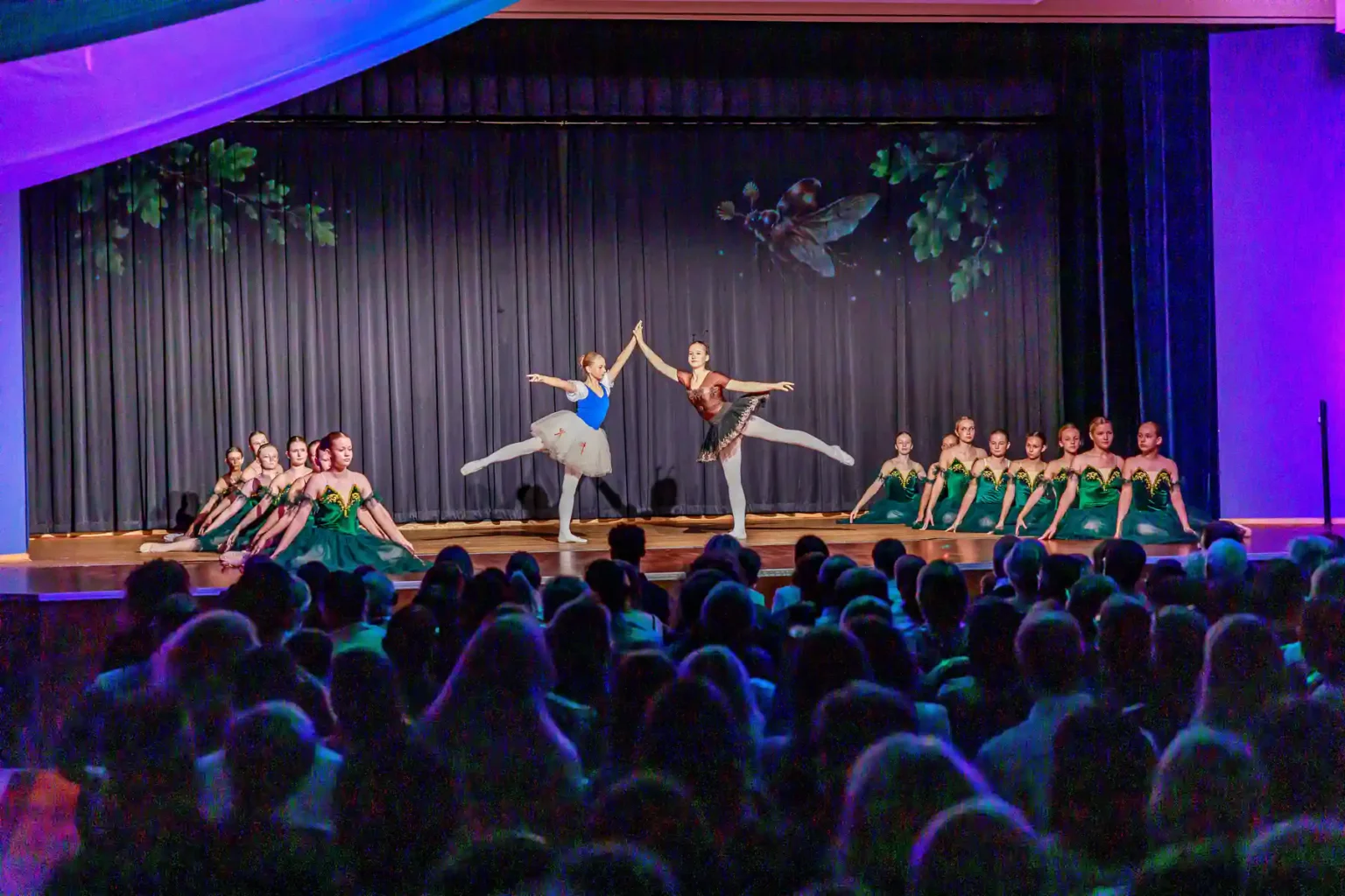 Däumelinchen 20.09.2026 HKK Wernigerode | Förderverein Ballettkinder Wernigerode e.V.